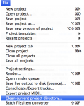 reaper-menu-clean-current-project